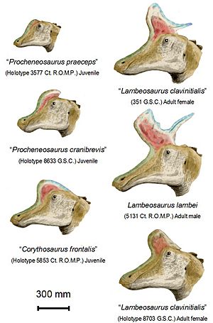Archivo:Lambeosaurus lambei BW