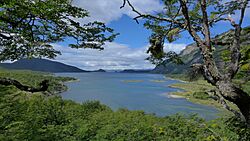 Lapataia Bay.jpg