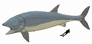 Archivo:Leedsichthys problematicus