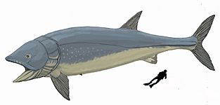 Leedsichthys problematicus