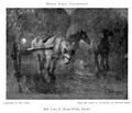 Lucy Kemp-Welch - Labourers of the Night