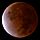 Lunar Eclipse - 2021 (51690221681) (cropped).jpg
