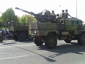 Archivo:Namibian Army Wolf armed with Air Defence cannon