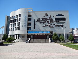 Archivo:Nationalities Museum Inner Mongolia University