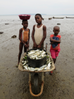 Niños pescadores en Kogo, Guinea Ecuatorial