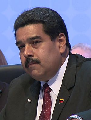 Archivo:Nicolás Maduro 2015