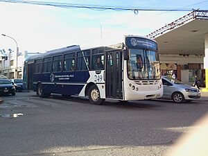 Archivo:Omnibus Urbano Bell Ville