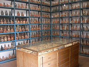 Archivo:Open storage at museo larco