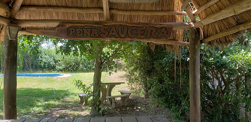 PEÑA SAUCERA