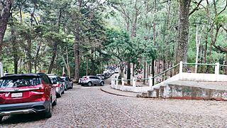 Parque Nacional Naciones Unidas - 51366626338