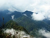 Archivo:Pico de Loro en el PNN Farallones de Cali-Colombia