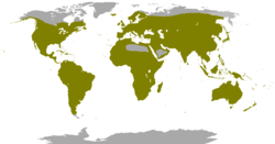 Distribución mundial de los columbiformes.