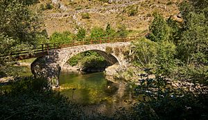Archivo:Puente de Vegacervera sobre río Torio. León (5)
