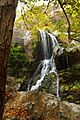 Putah Creek Headwaters2
