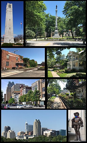 Raleigh photo collage