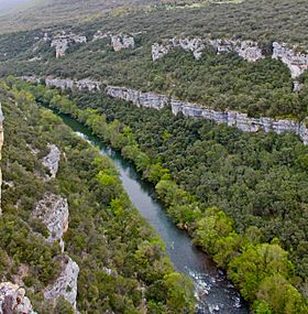 Rio Ebro (cropped).jpg