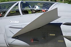 Archivo:Saab JAS 39 Gripen Canard