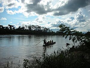 Archivo:San Borja, Bolivia - panoramio