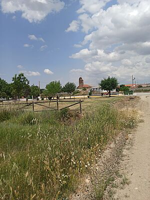Archivo:San Pascual arboleda 2