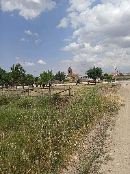San Pascual arboleda 2