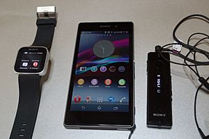 Archivo:Sony SmartWatch Xperia Z1 SBH52 2