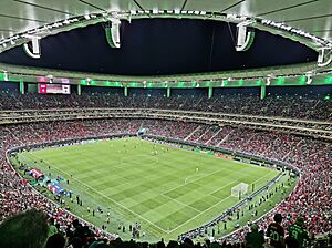 Archivo:South Corea 2-Czechia 1 (55334091661)