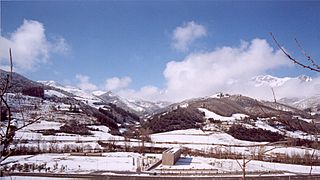 Tama y los Picos de Europa.jpg