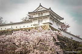 姫路城 Himeji-jō 3