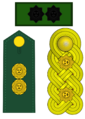 7) General de División EJ