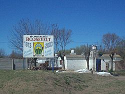 Acceso a Roosevelt (partido de Rivadavia)..jpg