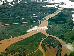 Archivo:Aerial view of the Lower Paraná Delta, 2009-03-25