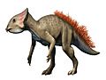 Aquilops NT small