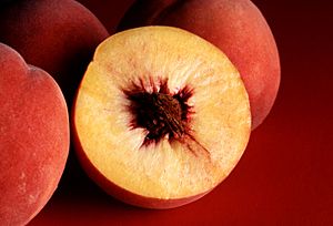 Archivo:Autumn Red peaches