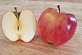 Autumn glory apple cultivar