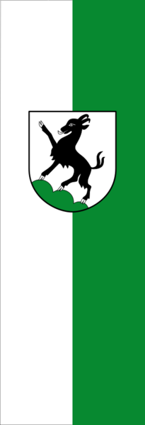 Banner Kitzbühel