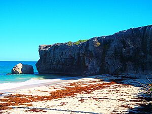 Archivo:Barbados beaches 2007 046