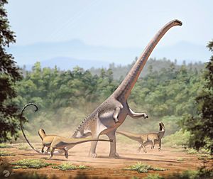 Archivo:Barosaurus lentus1