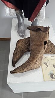 Archivo:Botas de potro