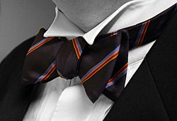 Archivo:Bow-tie-colour-isolated