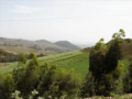 Campagne mostaganem