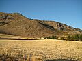 Campiña Antequera