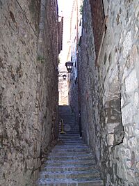 Archivo:Carrer del Call Girona