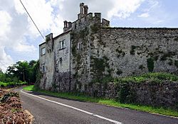 Croom Castle, County Limerick - geograph-3037502.jpg
