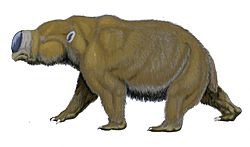 Diprotodon optatum (2).jpg