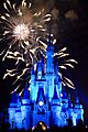 Disneyworld fireworks - 0215