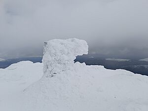 Archivo:En invierno. Vértice geodésico de la cima de Peñalara. España. Foto Carlos Teixidor Cadenas