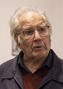Entrevista a Adolfo Pérez Esquivel (cropped).jpg