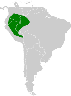 Distribución geográfica del hormiguerito colirrufo.