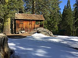 Historic Cabin in Wilsonia, California.jpg