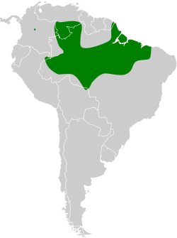 Distribución geográfica del verdillo pechigrís.